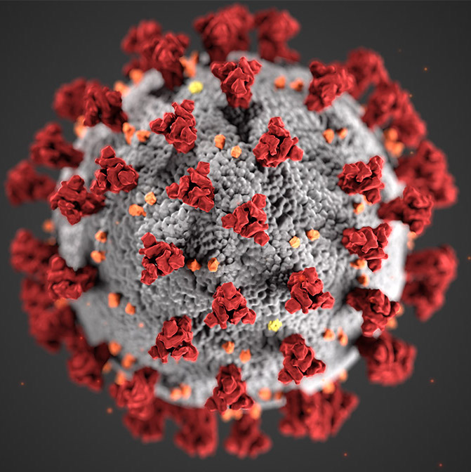 Image of COVID 19 Virus full copy